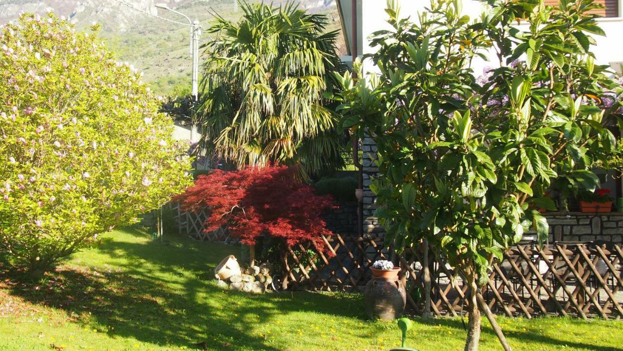 Апартаменты La Casa Dei Nonni Bussoleno Экстерьер фото